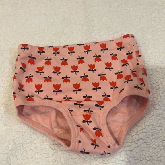 Hanna Andersson girls undies NWT - Picture 2 of 5